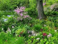 Tuinschilderij lentetuin 130x70cm Customize-it - Customize it - thumbnail