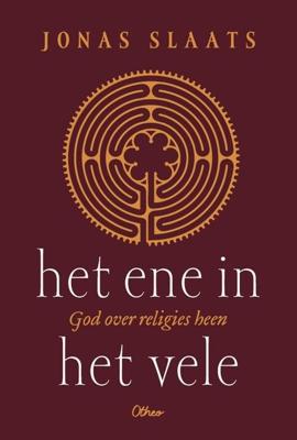 Het ene in het vele - Jonas Slaats - ebook