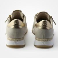 Paul Green 5310 - alle - thumbnail