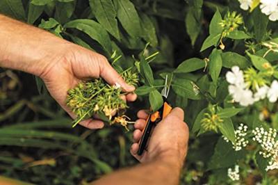 Fiskars Solid Snip kruidenschaar SP13 - thumbnail