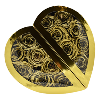 Flowerbox Longlife Norah goud dicht - thumbnail