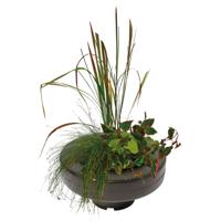 Floating Plant Basket diameter 30 Cm vijver SuperFish - Superfish - thumbnail