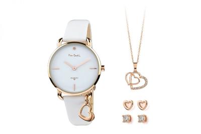 Pierre Cardin Horloge PCDX8382L21