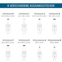 Ansmann ACS 48 Modelbouwoplader 0.35 A NiCd, NiMH - thumbnail