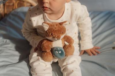 Little Dutch Forest Friends knuffel vos