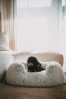 Hondenbed Hunter Wit 80 x 60 cm - thumbnail