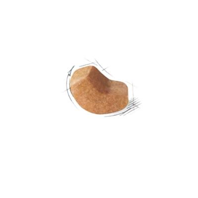 Royal Canin Puppy Shih Tzu hondenvoer 2 x 1,5 kg - thumbnail