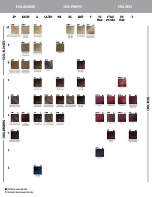 Goldwell Topchic Permanent Hair Color Haarverf 3VV 60ml