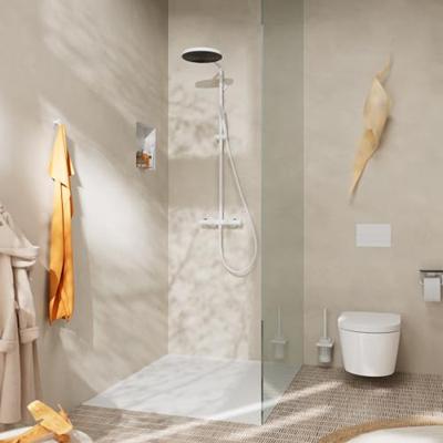 Hansgrohe Pulsify S Puro Showerpipe 260 1jet EcoSmart met thermostaat, mat wit Hansgrohe Pulsify S Puro Showerpipe 260 1jet EcoSmart met thermostaat, mat wit