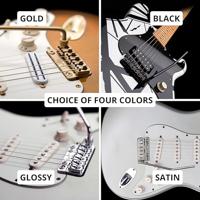 VegaTrem VT1 UltraTrem Standard Stainless Steel Satin brug voor elektrische gitaar - thumbnail