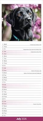 Black Labrador Retriever Slim Calendar 2026 Dog Breed Slimline Calendar - 12 Month