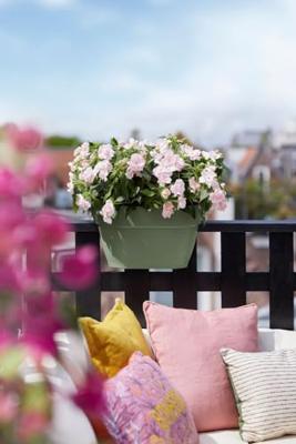 Elho Balkonbak Vibia Campana flower bridge 40cm Groen - thumbnail