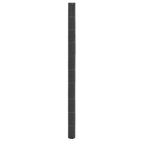 Worteldoek 2x100 m polypropeen zwart - thumbnail