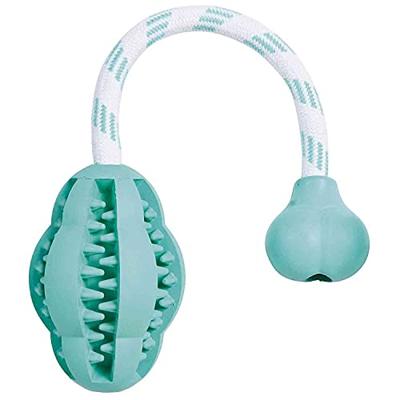 Trixie Natuurlijke Rubber Denta Fun Mintfresh Jumper aan een Touw voor Hond