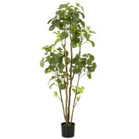 Emerald kunstboom in pot aralia 160 cm - thumbnail
