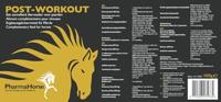 Post workout paard 1000 gram - thumbnail