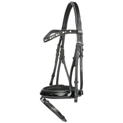 Premiere hoofdstel Grenoble