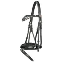 Premiere hoofdstel Grenoble - thumbnail