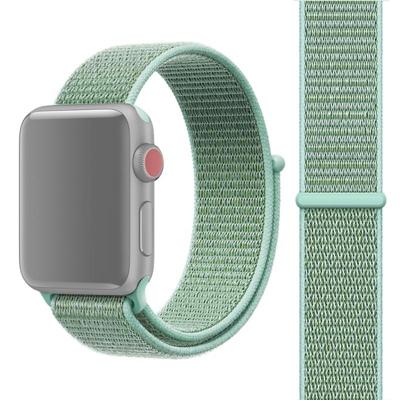 For Apple Watch Series 3 & 2 & 1 38mm Simple Fashion Nylon Watch Strap with Magic Stick(Mint Green)