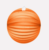 Bollampion Oranje (25cm) - thumbnail