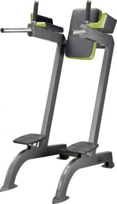 X-Line dip/abdominal combo