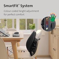 Kensington SmartFit rugsteun, zwart - thumbnail