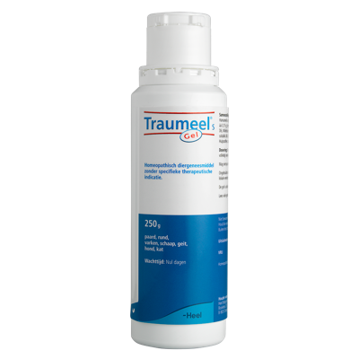 Heel Traumeel S gel veterinair 250 Gram Heel Traumeel S gel veterinair 250 Gram