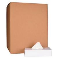 Papieren zakdoek, 2-laags, 100 tissues per doos, pak van 40 doosjes - thumbnail