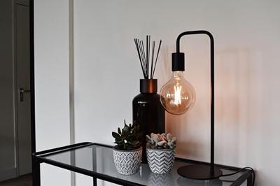 Lichtbron Globelamp Flex 9,5 cm Goud E27
