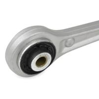 Lei Groene beuk - thumbnail