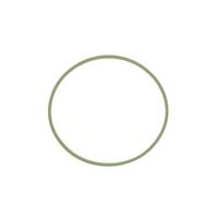 Pakking, inlaatspruitstuk omkasting 236720 - thumbnail