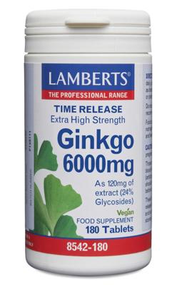 Lamberts Ginkgo 6000mg Time Release Tabletten