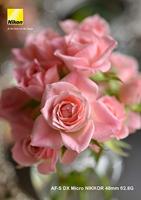 Nikon AF-S 40mm F/2.8G DX micro - thumbnail