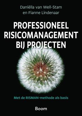 Professioneel risicomanagement bij projecten - Daniëlla van Well-Stam, Fianne Lindenaar - ebook