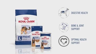 Royal Canin Maxi Adult hondenvoer 4 kg - thumbnail