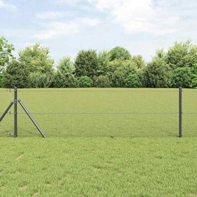 Gelaste draadhek Grijs 0.6 x 100 m