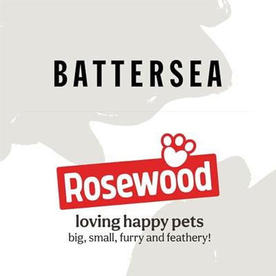Battersea voerbal hart rubber blauw - thumbnail