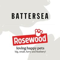 Battersea foam flyer blauw - thumbnail