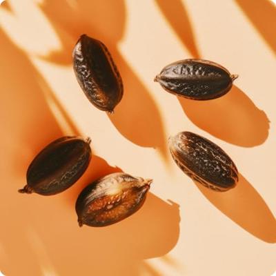 Elie Saab Girl Of Now Lovely Eau De Parfum Spray 50 ml Dames