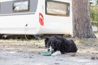 TRIXIE VOERBAK DRINKBAK EMAILLE / RVS GROEN 12X12 CM 300 ML - thumbnail