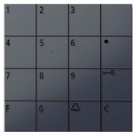 Siedle 210004914-00 Functiemodule voor Accessoires voor deurintercom Antraciet Siedle 210004914-00 Functiemodule voor Accessoires voor deurintercom Antraciet