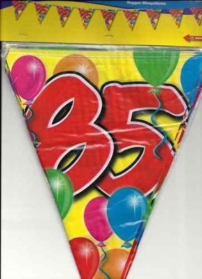 85 Jaar vlaggenlijn - 10 meter