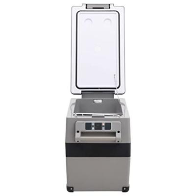 VidaXL Koelbox met handvat 35 l pp & pe zwart en wit