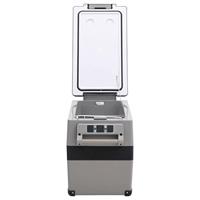 VidaXL Koelbox met handvat 35 l pp & pe zwart en wit - thumbnail