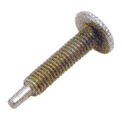 TOPEAK Chain breaker pin - mini 18+ / ratchet rocket