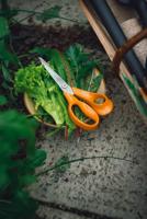 Fiskars Classic Universele Schaar | 21 cm - 1075033 - thumbnail