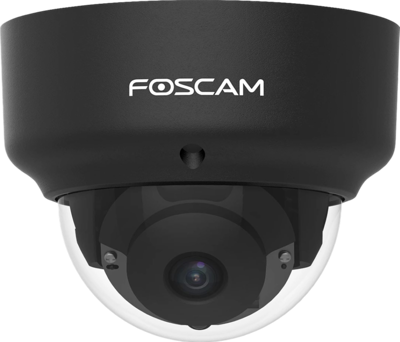Foscam D2EP beveiligingscamera