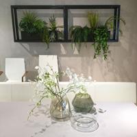 Columnea kunst hangplant 65cm - thumbnail