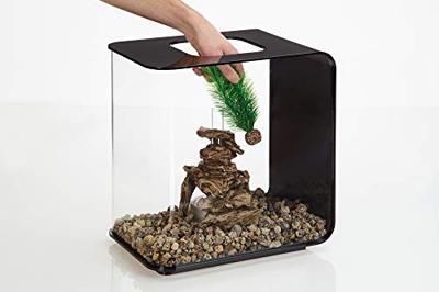 Aquariumtoebehoren mannetjesvaren set klein groen biOrb - Biorb Aquariumtoebehoren mannetjesvaren set klein groen biOrb - Biorb