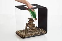 Aquariumtoebehoren mannetjesvaren set klein groen biOrb - Biorb - thumbnail